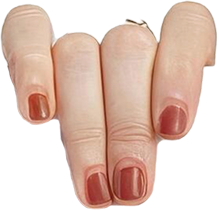 /wp-content/uploads/sites/26/2025/05/about-me-hand-left-1.png