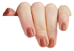 /wp-content/uploads/sites/26/2025/05/about-me-hand-right-1.png